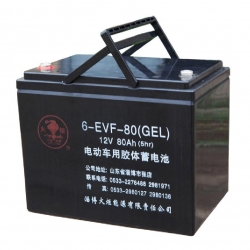 6-EVF-80(GEL) 电动车用胶体蓄电池