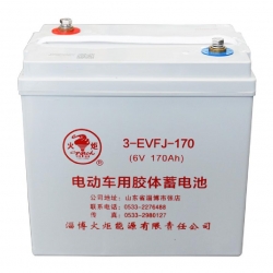 3-EVFJ-170 电动车用胶体蓄电池