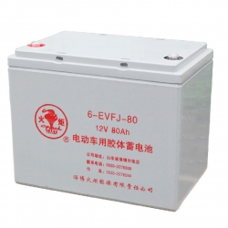 6-EVFJ-80 电动车用胶体蓄电池